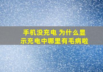 手机没充电 为什么显示充电中哪里有毛病啦